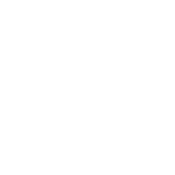 NVISO